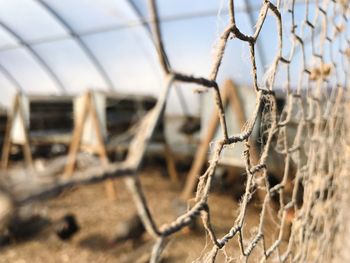 Close-up of barbed wire against sky