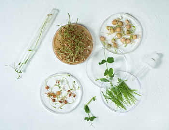 High angle view of food on table