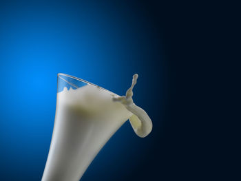 Close-up of a white horse against blue background