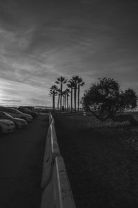 Road by palm trees against sky