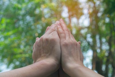 Cropped image of man hand on plant against trees