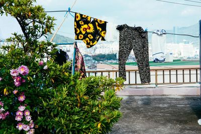 Laundry on clothesline