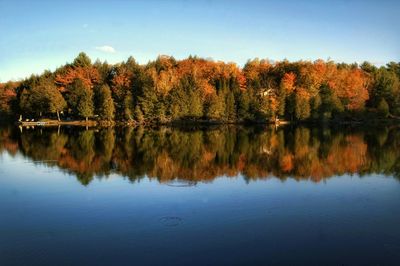 Reflection of trees in lake against sky