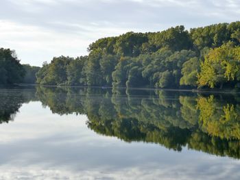 Reflection of trees in lake against sky