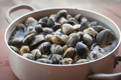 Close up of clams in a cooking pot