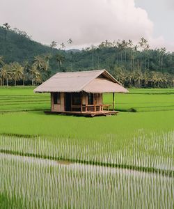 House on field against sky