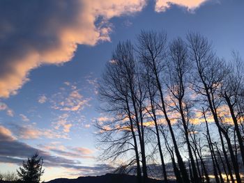 Low angle view of silhouette trees against sky