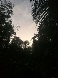 Low angle view of silhouette trees against sky at sunset