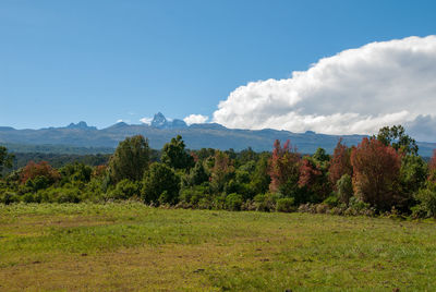 Landscape in mount kenya national park with the mountain peaks in the distance