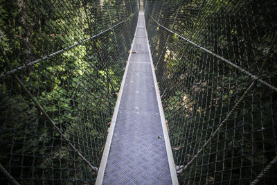 View of footbridge in forest