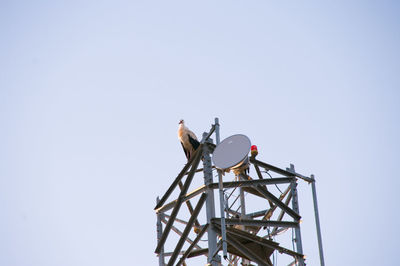 Low angle view of crane against clear sky