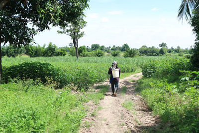 Rear view of farmer walking on dirt road against sky