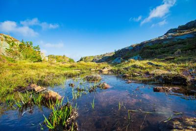 Calm lake on countryside landscape