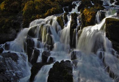 Waterfall in forest