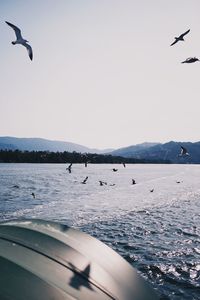 Seagulls flying over sea against sky