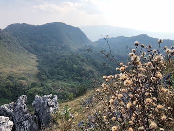 Scenic view of mountains against sky