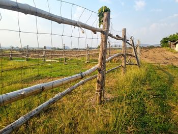 Scenic view of agricultural field