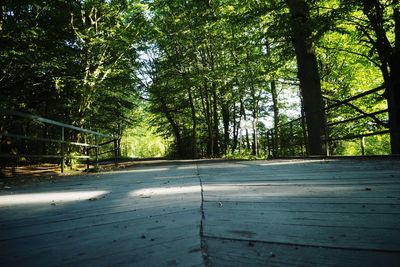 Road amidst trees in forest