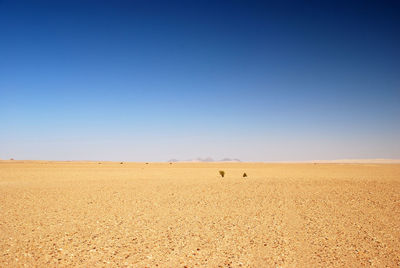 Scenic view of landscape against clear blue sky