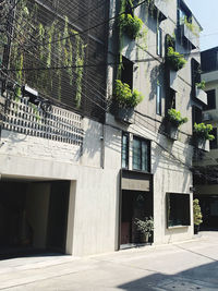 architecture