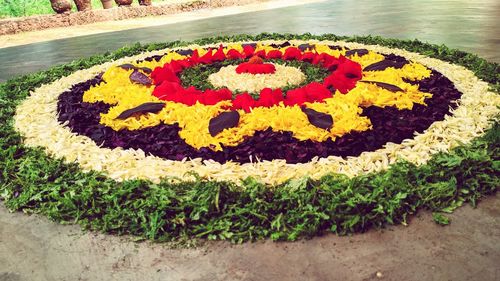 High angle view of yellow flowering plants