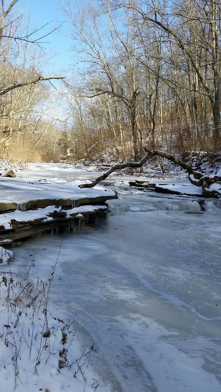 snow, winter, cold temperature, season, frozen, tree, weather, tranquility, tranquil scene, nature, covering, bare tree, water, beauty in nature, scenics, white color, cold, landscape, snow covered, day