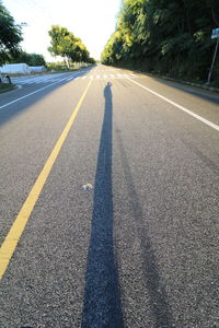 Shadow of tree on road