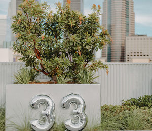 Close-up of number balloons by plant against buildings