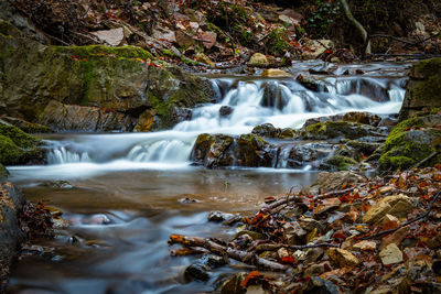 Scenic view of waterfall in forest