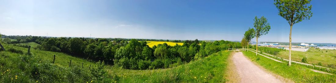 Panoramic shot of road amidst trees on field against sky