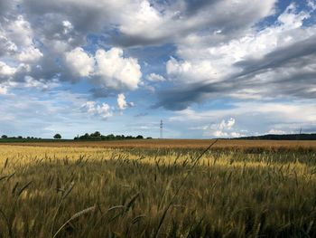 Scenic view of agricultural field against sky