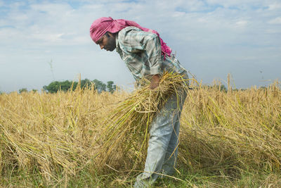 Indian farmer working at rice paddy field