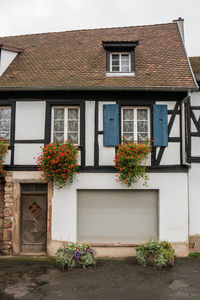 Potted plants outside house against building