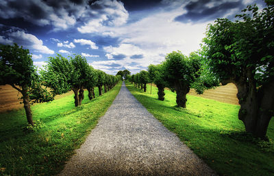 Road amidst trees against sky