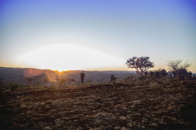 View of field against sky during sunset