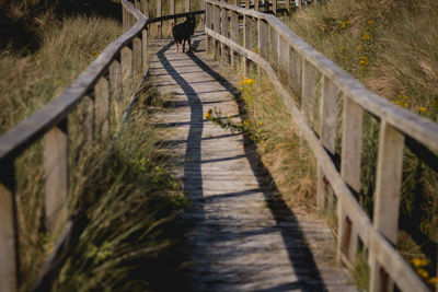 Walkway walking on footpath