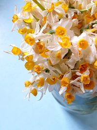 Close-up of yellow flowering plant