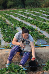 High angle view of woman with pug siting on field in farm