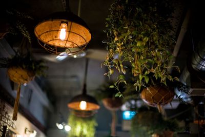 Low angle view of illuminated lanterns hanging from ceiling