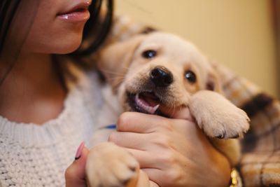Close-up of woman holding dog