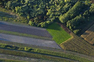 High angle view of agricultural field