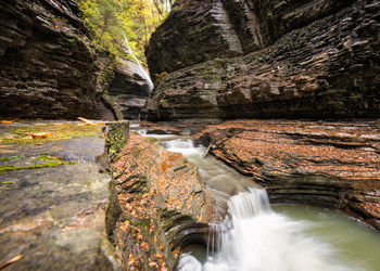 Stream at forest