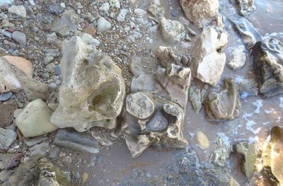 Full frame shot of rocks on beach