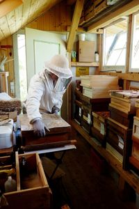 Beekeeper working in warehouse