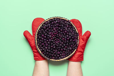 Directly above view of woman holding bowl against white background