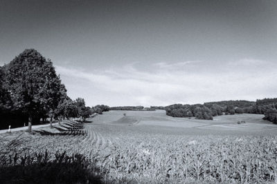 Scenic view of field against sky