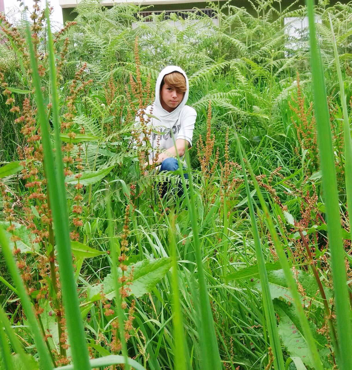 grass, green color, growth, one person, childhood, plant, front view, flower, nature, outdoors, people, day