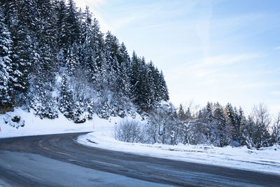 Snow covered road by trees against sky