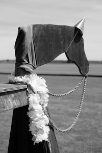 Close-up of rope tied on wood