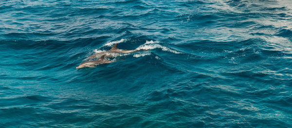 High angle view of sea